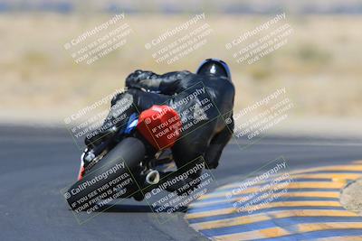 media/May-13-2023-SoCal Trackdays (Sat) [[8a473a8fd1]]/Turn 11 Backside (945am)/